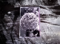Image 2 of KILOTON "World War V" MC