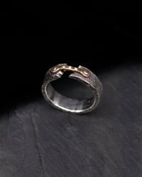 Image 2 of RIVET BANDS