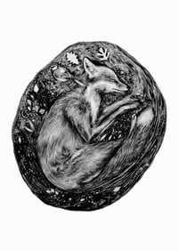 Safe In The Earth A4 Wildlife Art Print