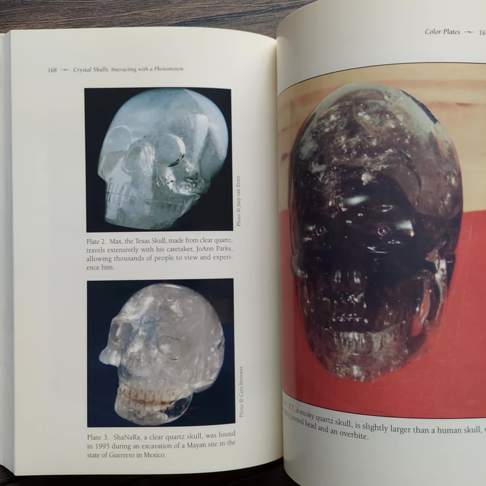 Crystal Skulls: Interacting with a Phenomenon, by Jaap van Etten
