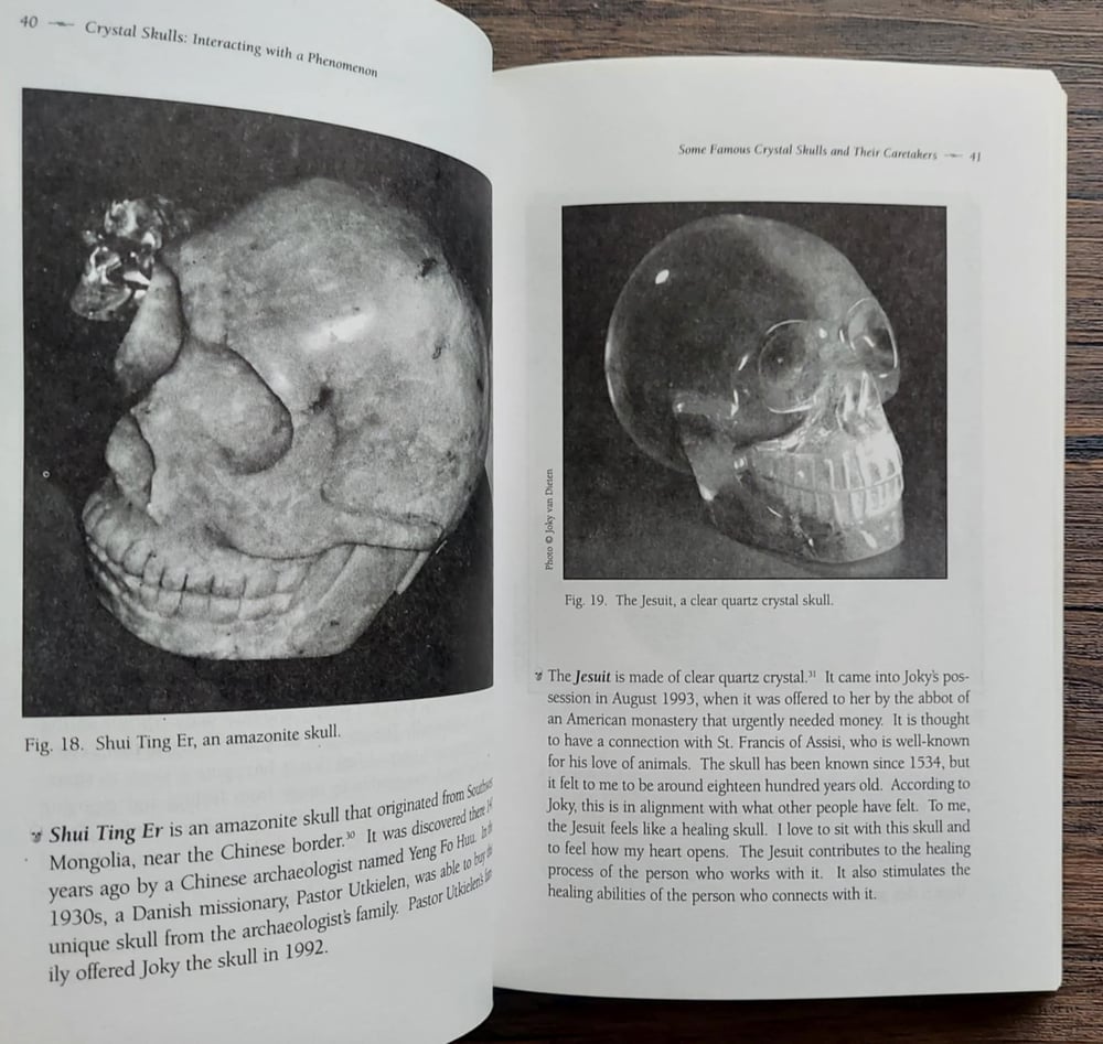 Crystal Skulls: Interacting with a Phenomenon, by Jaap van Etten