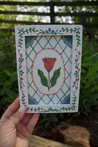 Pink Tulip