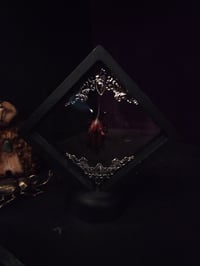 Image 2 of 𝖂𝖊𝖊𝖛𝖎𝖑