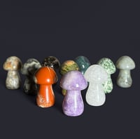 Image 1 of Mushroom Intuitively Pick