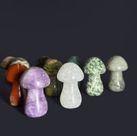 Image 2 of Mushroom Intuitively Pick