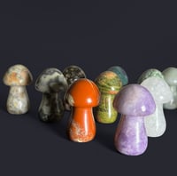 Image 3 of Mushroom Intuitively Pick