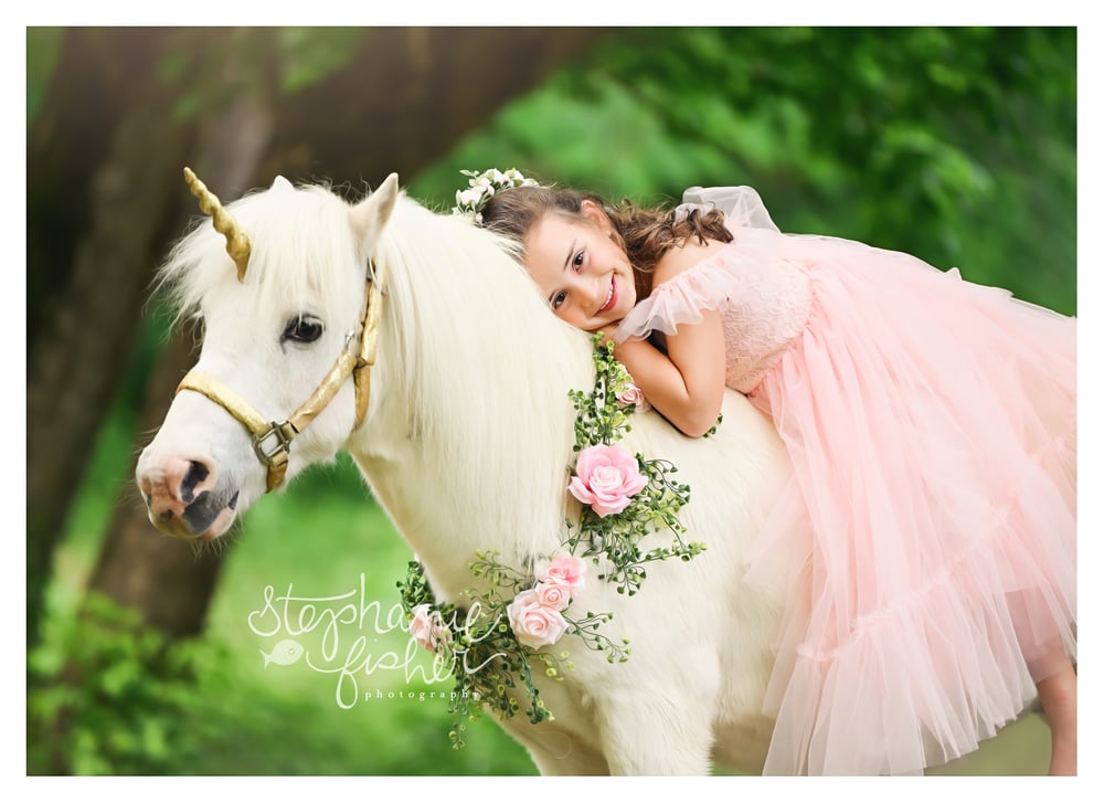 Image of 2025 Summer Unicorn Minis