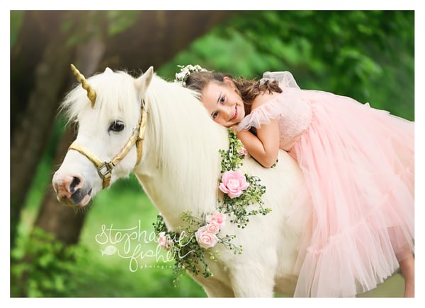 Image of 2025 Summer Unicorn Minis