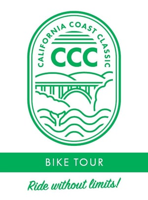 Image of AFCE Decals + Stickers 