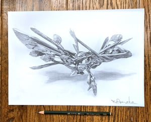 Image of Replete Seek variant 1