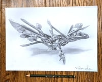 Replete Seek variant 1