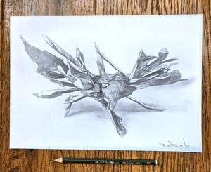 Image of Seek variant 4