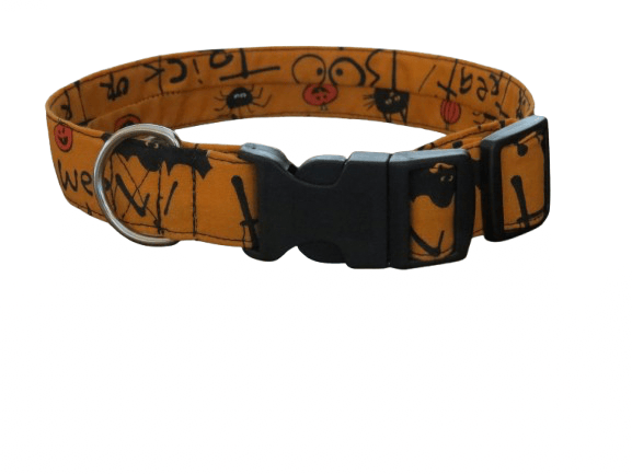 Image of Trick Or Treat Collection (2 Options)