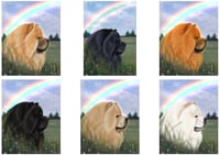 Image 3 of Chow Chow Greeting Cards
