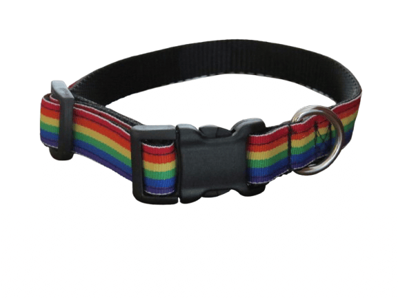 Image of Pride 365 Collection (5 Options)