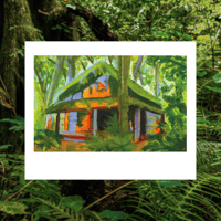 Image 1 of no return polaroid print