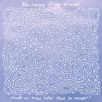 The Names of Our Friends, "Should We Know Better Than to Wonder?" 10" Vinyl