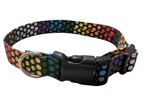 Image of Pride 365 Collection (5 Options)
