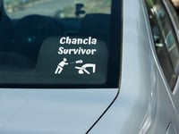 Image 3 of Chancla Survivor Car Decal.(Single Pack)