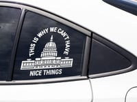 Image 5 of This Is Why We Can't Have Nice Things Car Decal (1 or 2 pack) 
