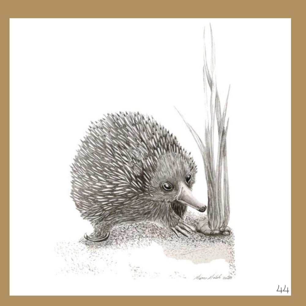 Image of Graphite Cards