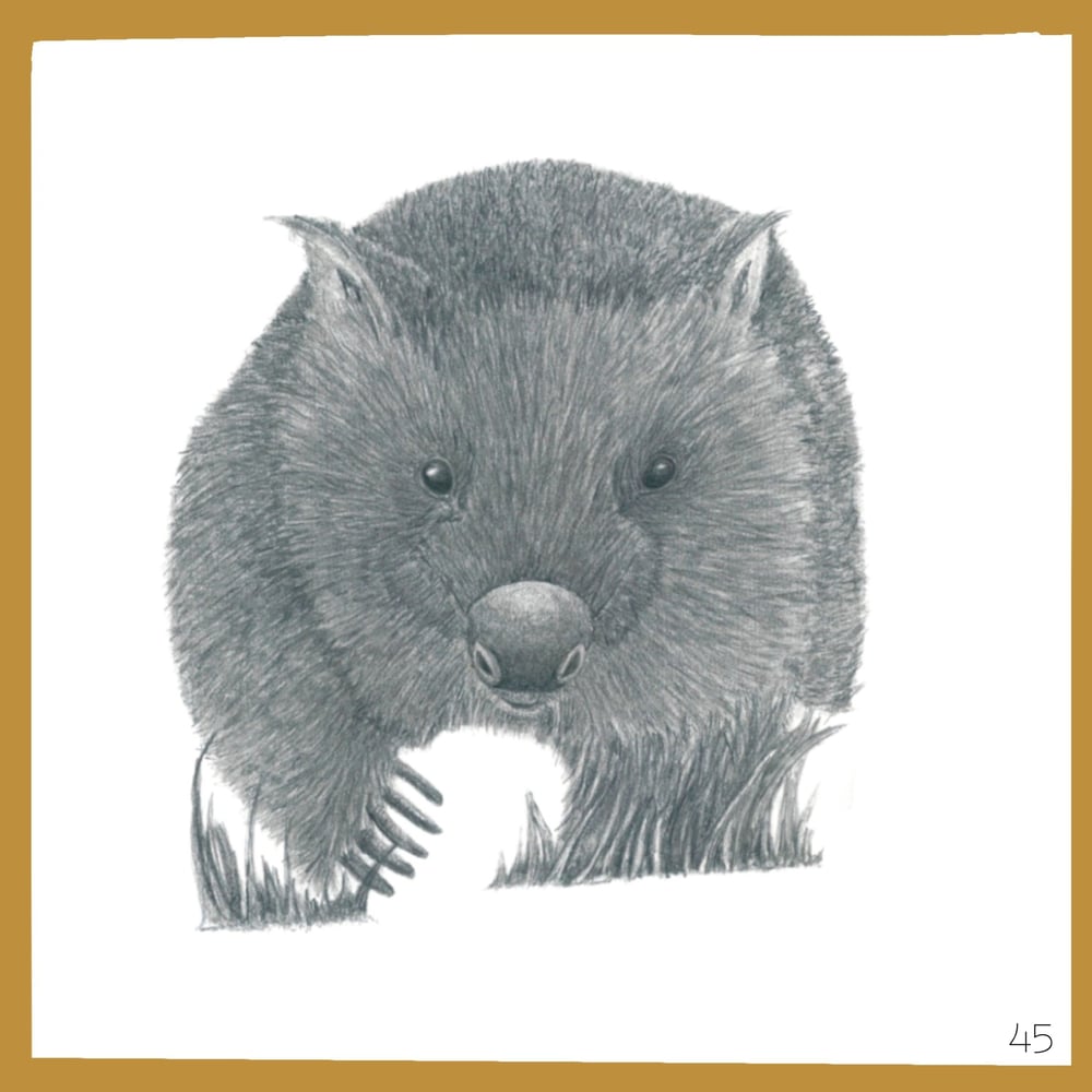 Image of Graphite Cards