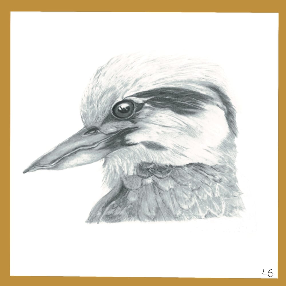 Image of Graphite Cards