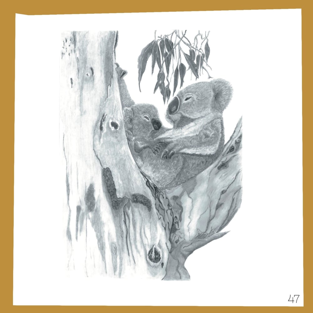 Image of Graphite Cards