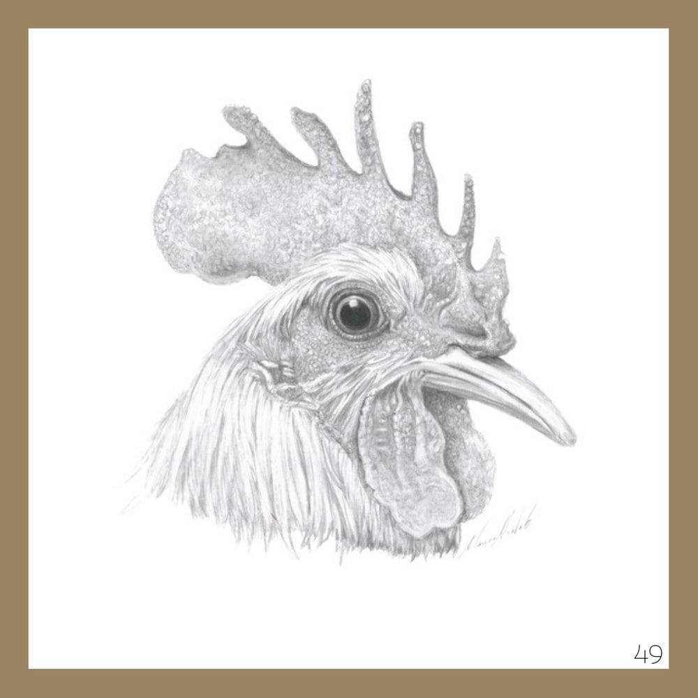 Image of Graphite Cards