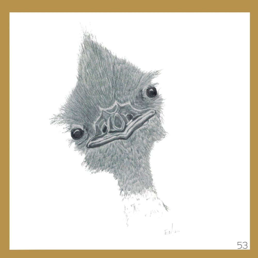 Image of Graphite Cards