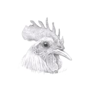 Image 1 of Graphite Prints A3
