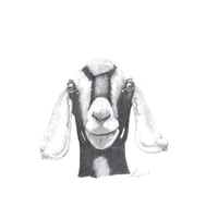 Image 2 of Graphite Prints A3
