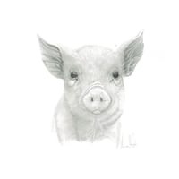 Image 3 of Graphite Prints A3