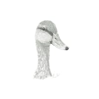 Image 4 of Graphite Prints A3