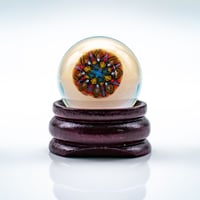 Image 2 of Steve H Premium 5 Piece Slurper Set 3