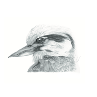 Image 6 of Graphite Prints A3