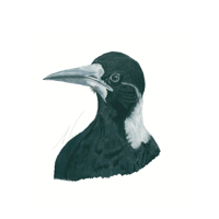 Image 7 of Graphite Prints A3