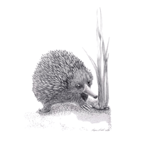 Image 10 of Graphite Prints A3