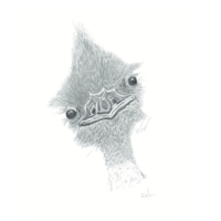 Image 8 of Graphite Prints A3