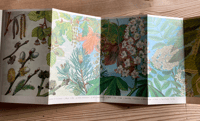 Image 3 of A Pantoscope Book Trees in Flower by Paxton Chadwick