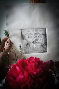 Image 2 of Stars And Hares