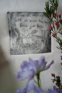 Image 1 of Stars And Hares