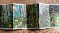 Image 4 of A Pantoscope Book Spring Flowers of the Woods by Paxton Chadwick