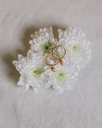 Image 5 of Pack Aros Mimosa