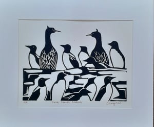 'Farne Islands Seabirds' Linocut Print
