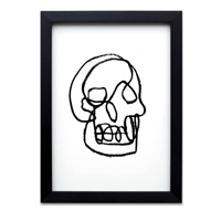 ‘Mystery Skulls’