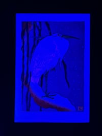 Image 2 of Egret UV Blue Postcard