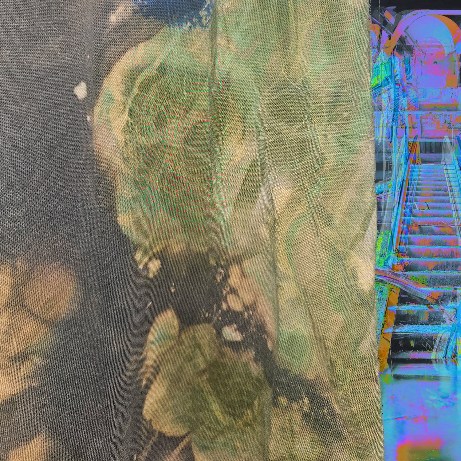Image of bondage x roots