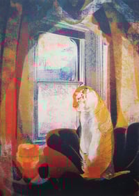 Image 2 of Dartmoor Tiger A3 Screenprint