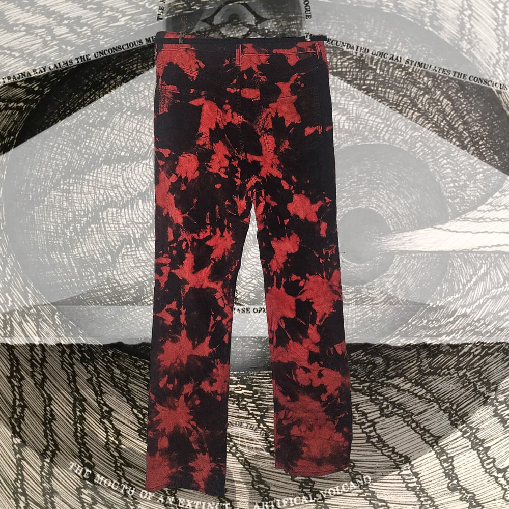 Image of pants (blk/red)